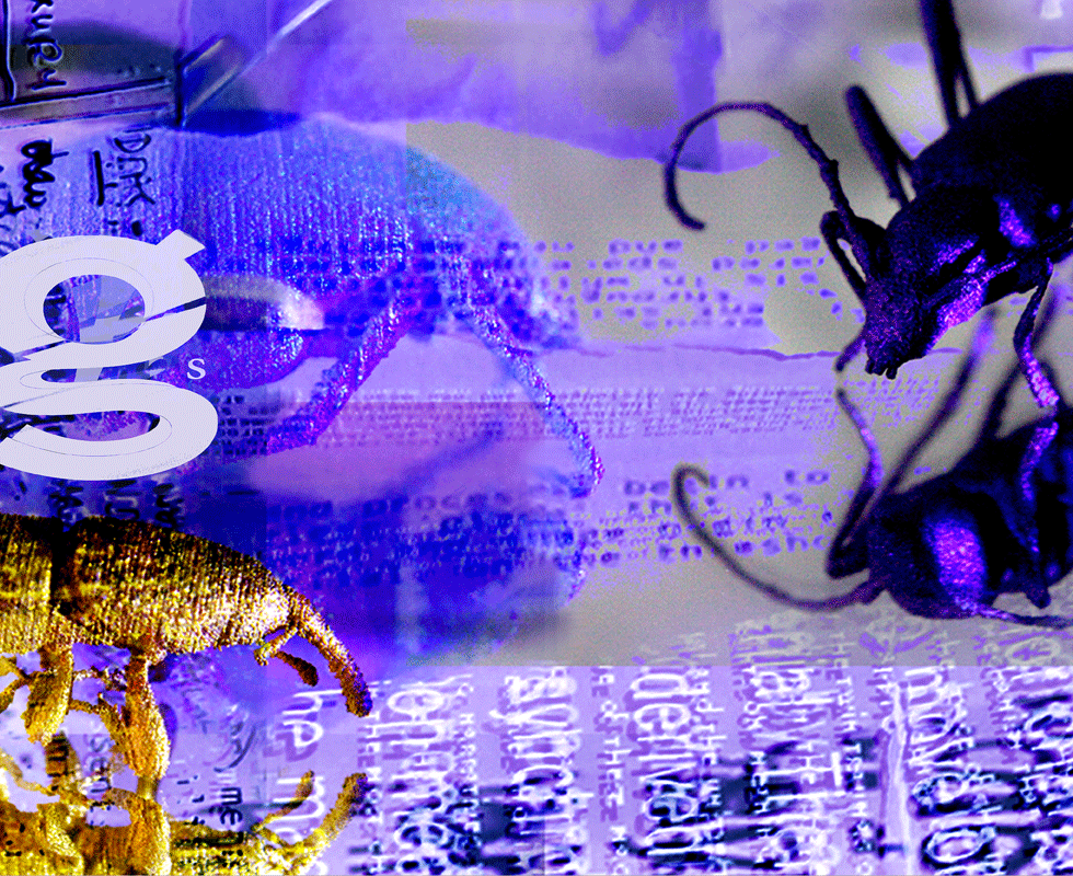 Artist, Eleanor Gates-Stuart logo and card