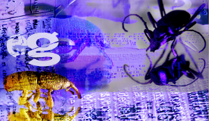 Artist, Eleanor Gates-Stuart logo and card