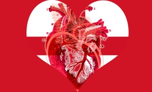 Hearts of Hearts - Hartland England: Hartlands Collection by Imaginarymediaimages (IMI)