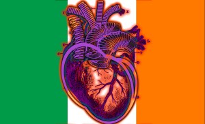 Hartland Ireland: Heartlands Collection by Imaginarymediaimages (IMI)