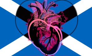 Hearts of Hearts - Hartland Scotland: Hartlands Collection by Imaginarymediaimages (IMI)
