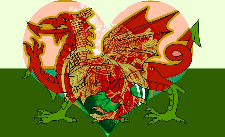 Hearts of Hearts - Hartland Wales: Hartlands Collection by Imaginarymediaimages (IMI)