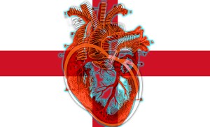 Hartland England: Heartlands Collection by Imaginarymediaimages (IMI)